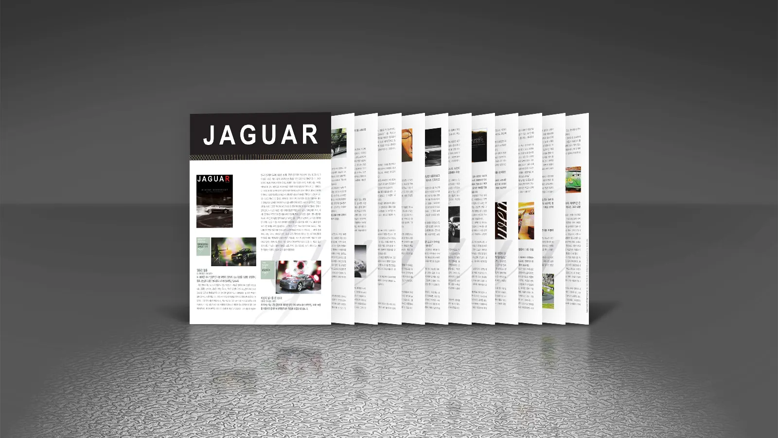 Jaguar Magazine 2007-1 Korean Version Pamphlet Editorial Design