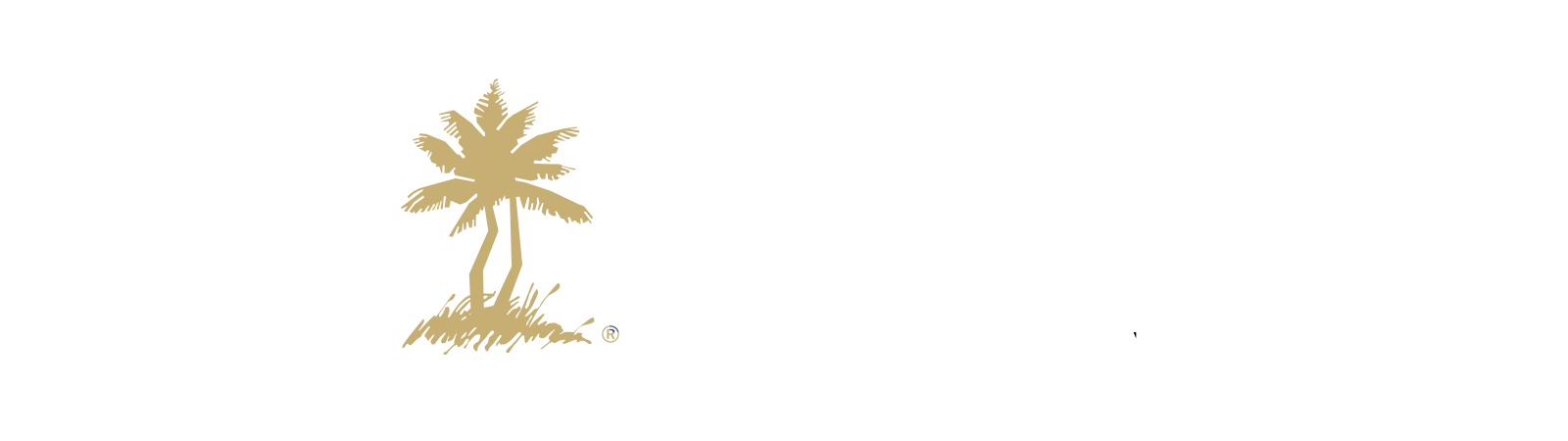 Turtle Beach Korea's Web Design Agency - ADDVALUN