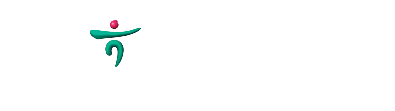 Hana Financial Group GI